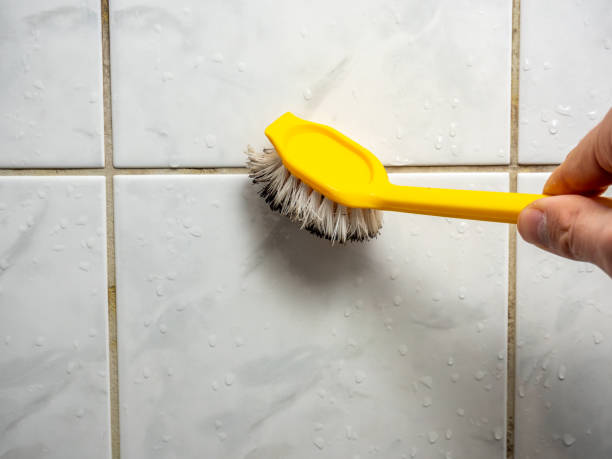 Best Health and Safety Mold Remediation in Blackshear, GA
