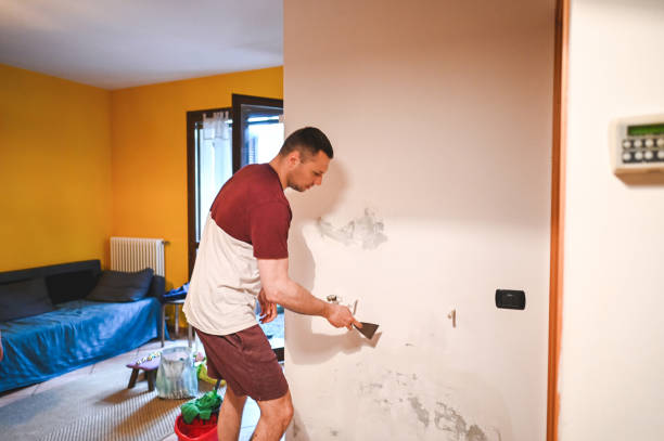 Best Post-Flood Mold Remediation in Blackshear, GA